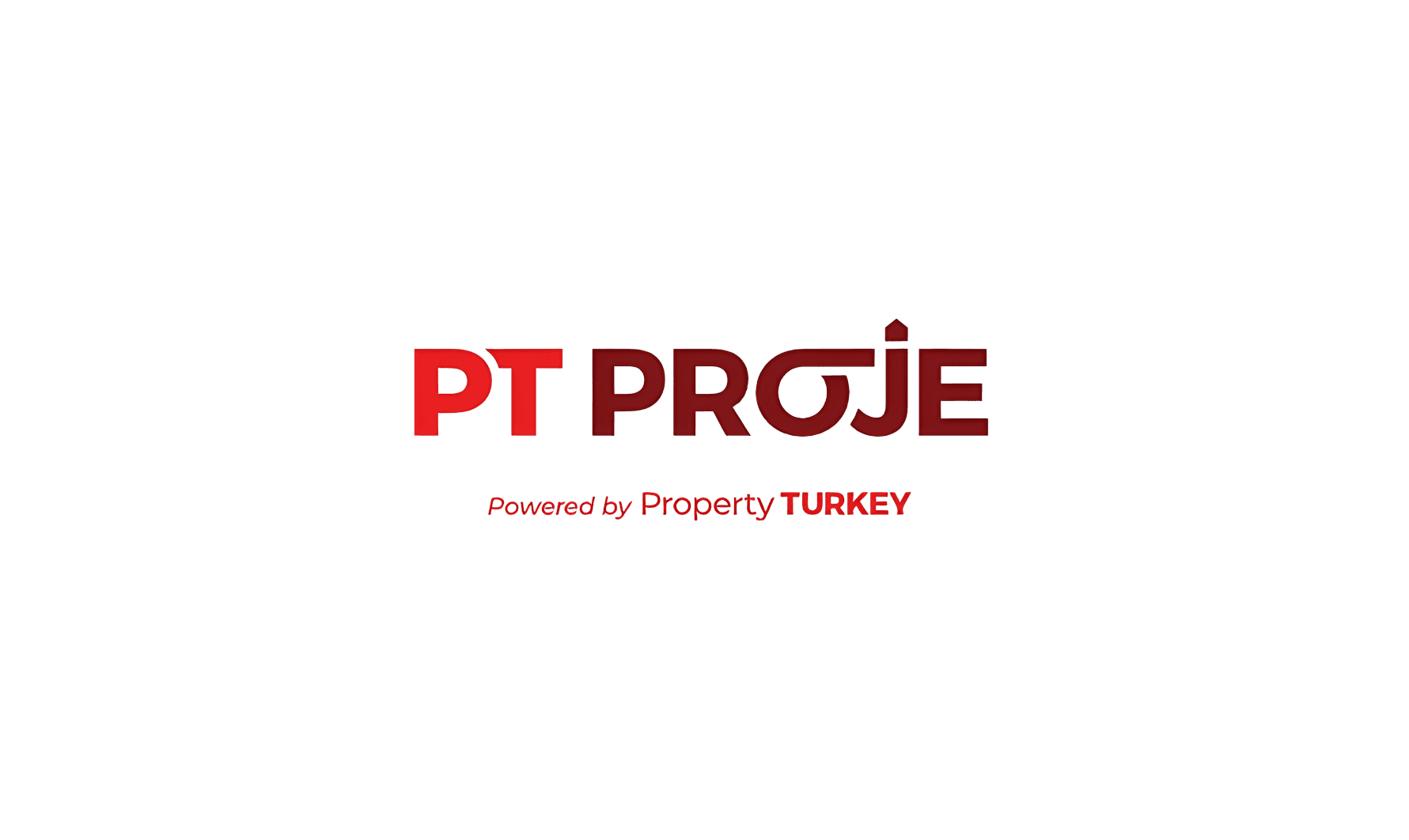 Pt Proje Logo Advio Dijital