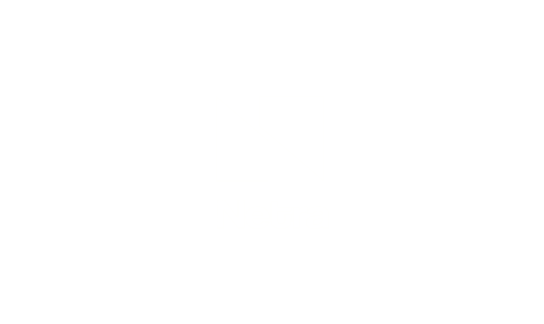 Netra Logo Advio Dijital