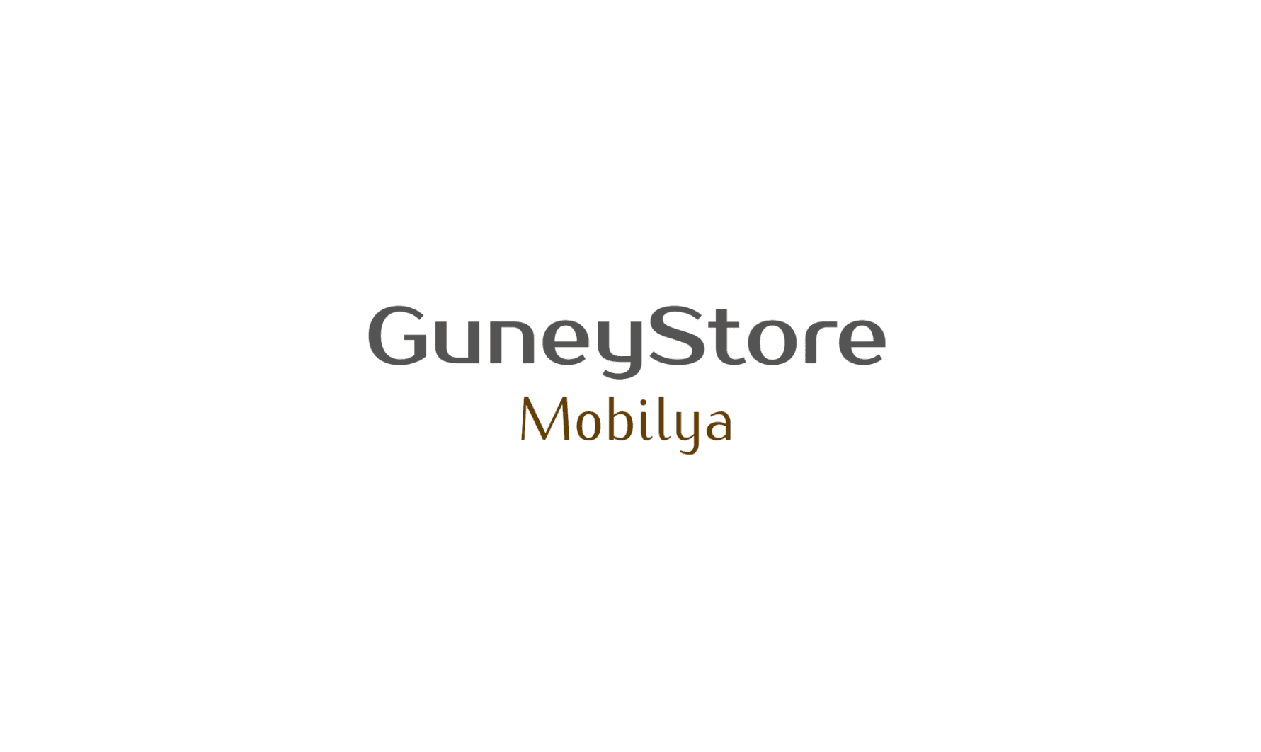 Advio Güney Store Logo